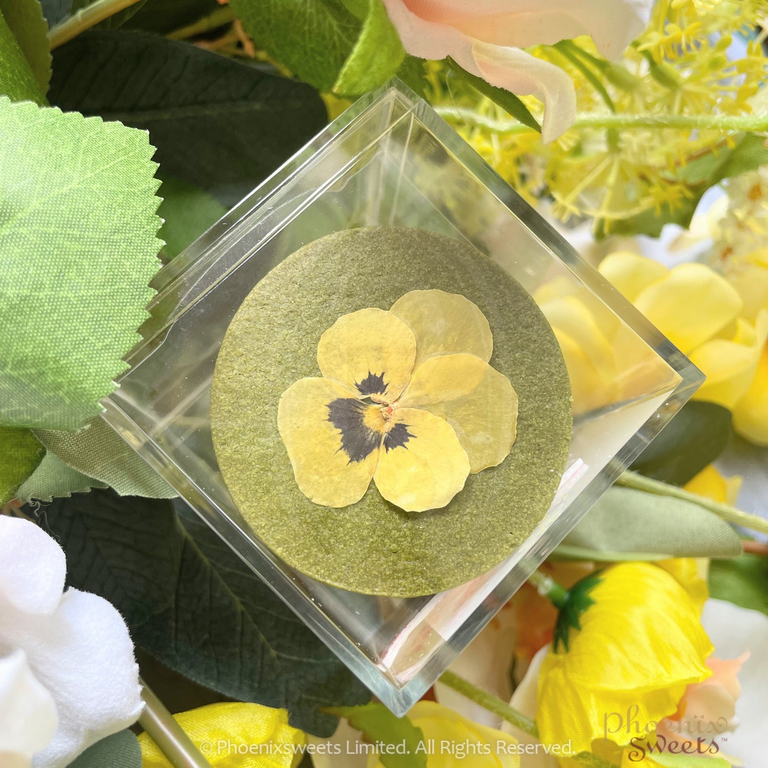 Cookie - Selected Homemade Cookie (Plastic Box Pack) / Japanese Dried Flower